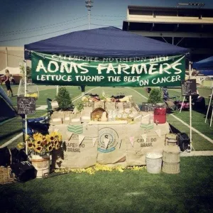Relay for Life community service